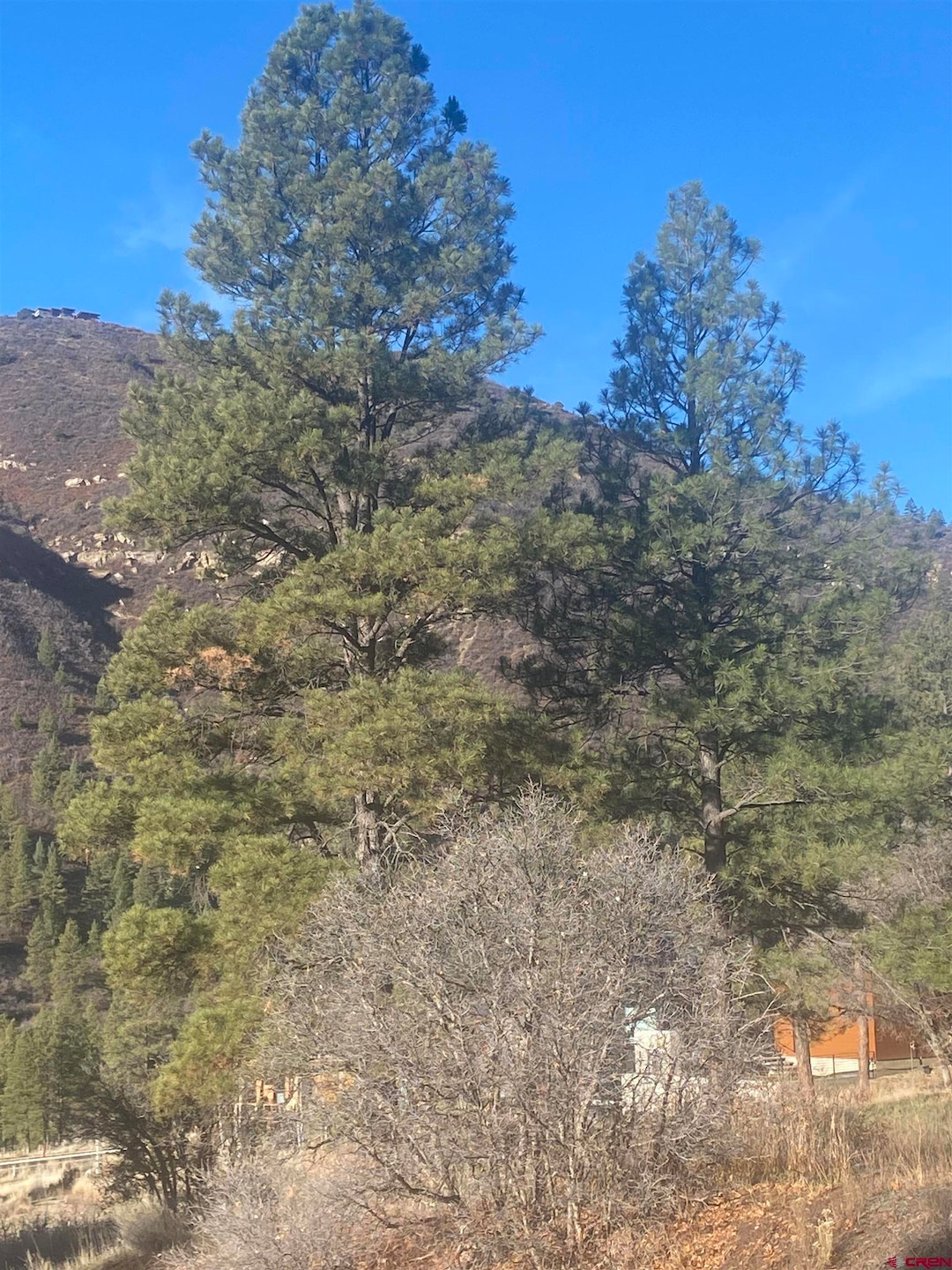 57 Wild Iris, Durango, CO 81301 - photo 1