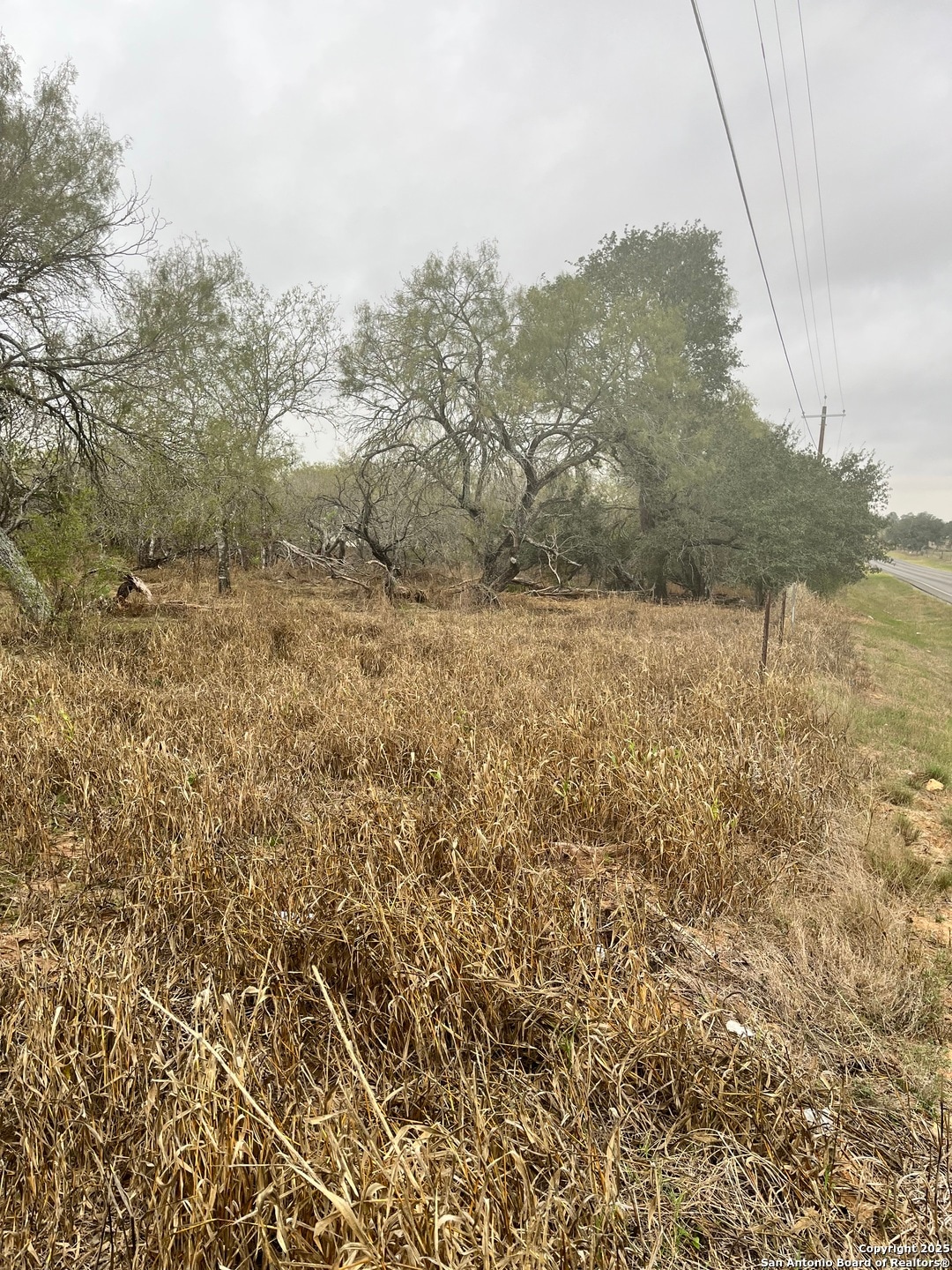 899 Farm To Market 1346, La Vernia, TX 78121 - photo 1