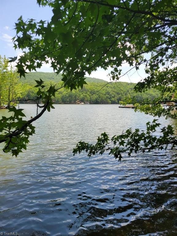 Lakefront Living.  View from shore.