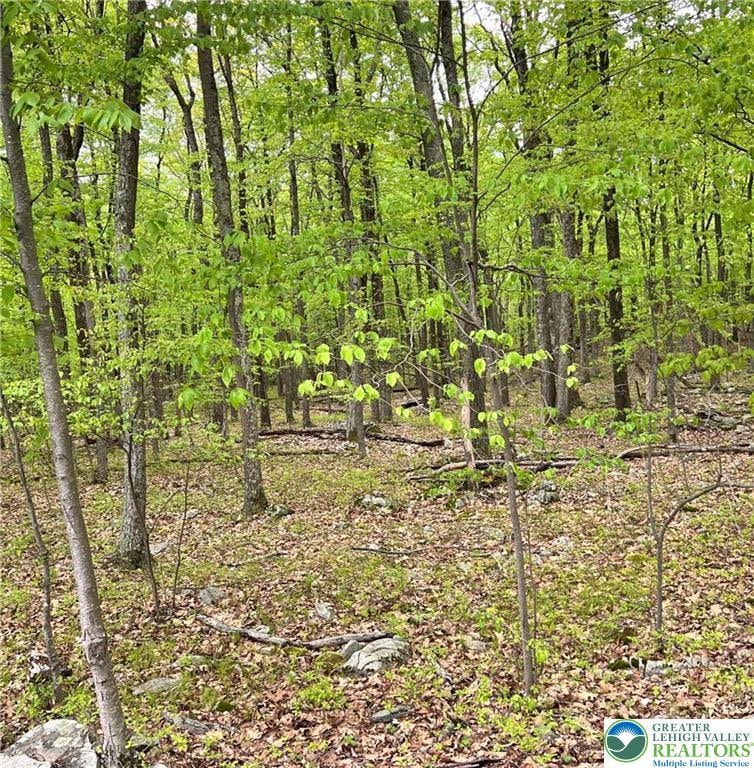 209 Cherry Ln, Tunkhannock Township, PA 18210 - photo 1