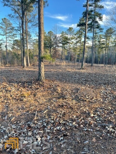 19.33 Acres, gentle and ready for your fencing or 