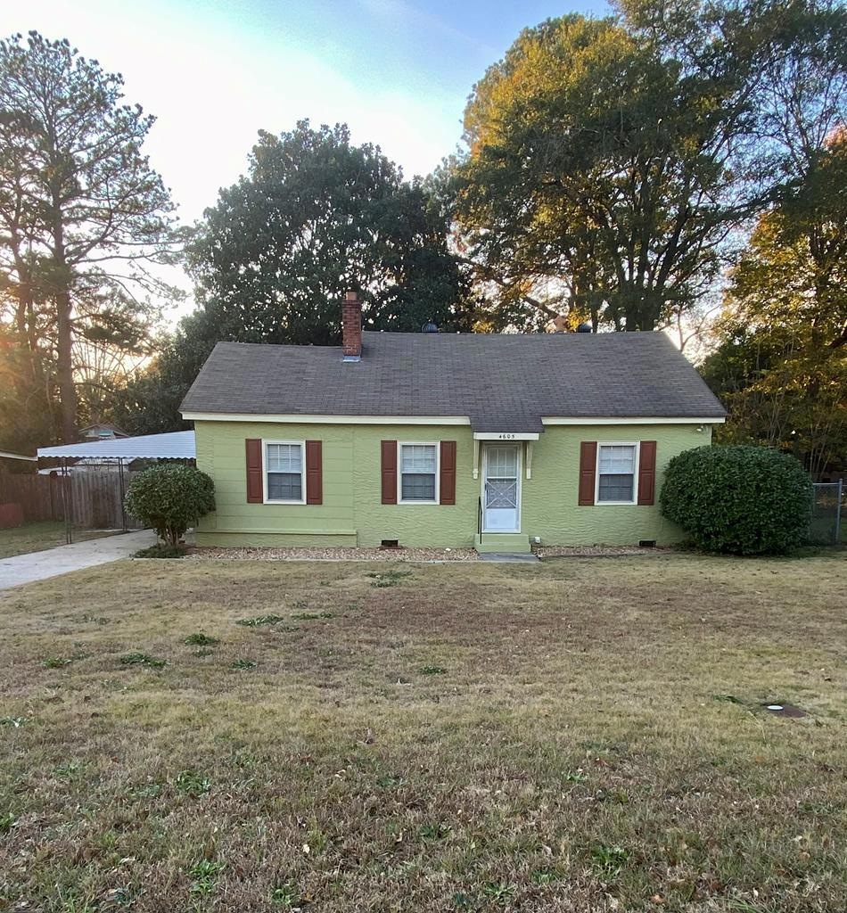 Main View