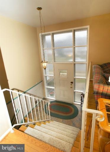 5206 Portsmouth Rd, Fairfax, VA 22032 - photo 1