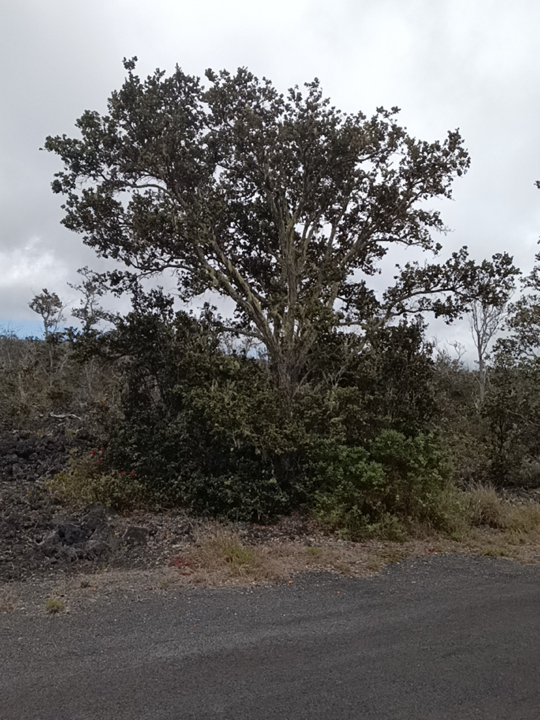 0 Iwalani Pkwy unit 722734, Ocean View, HI 96737 - photo 1