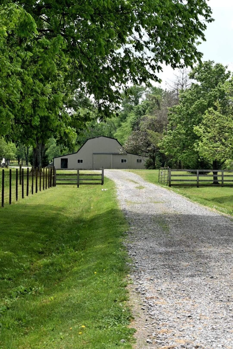 Drive Way