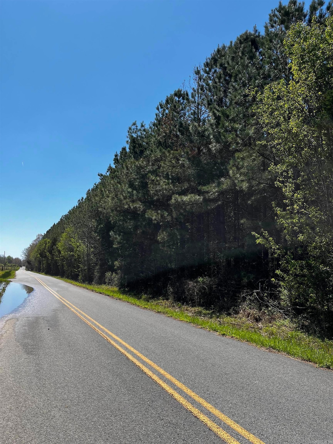 53 Center Point Loop, Vilonia, AR 72173 - photo 1