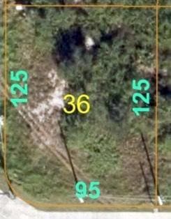 299 SW Kestor Dr, Port St. Lucie, FL 34953 - photo 1