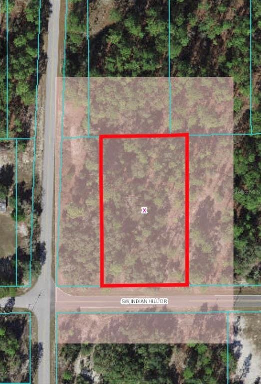 0 SW Indian Hill Dr unit V4924326, Dunnellon, FL 34431 - photo 1