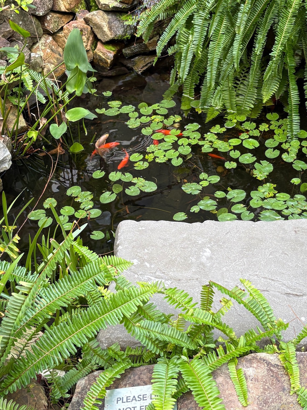 Suntide Condominiums unit 316, Stuart, FL 34996 - photo 1
