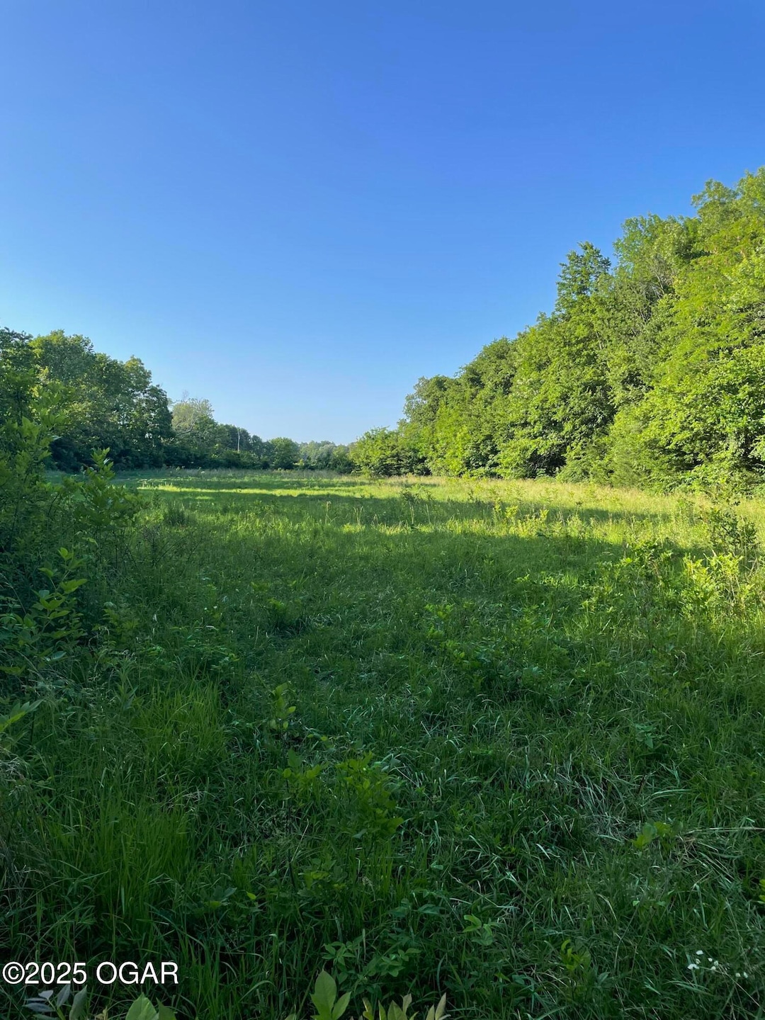 000 3rd St, Sarcoxie, MO 64862 - photo 1