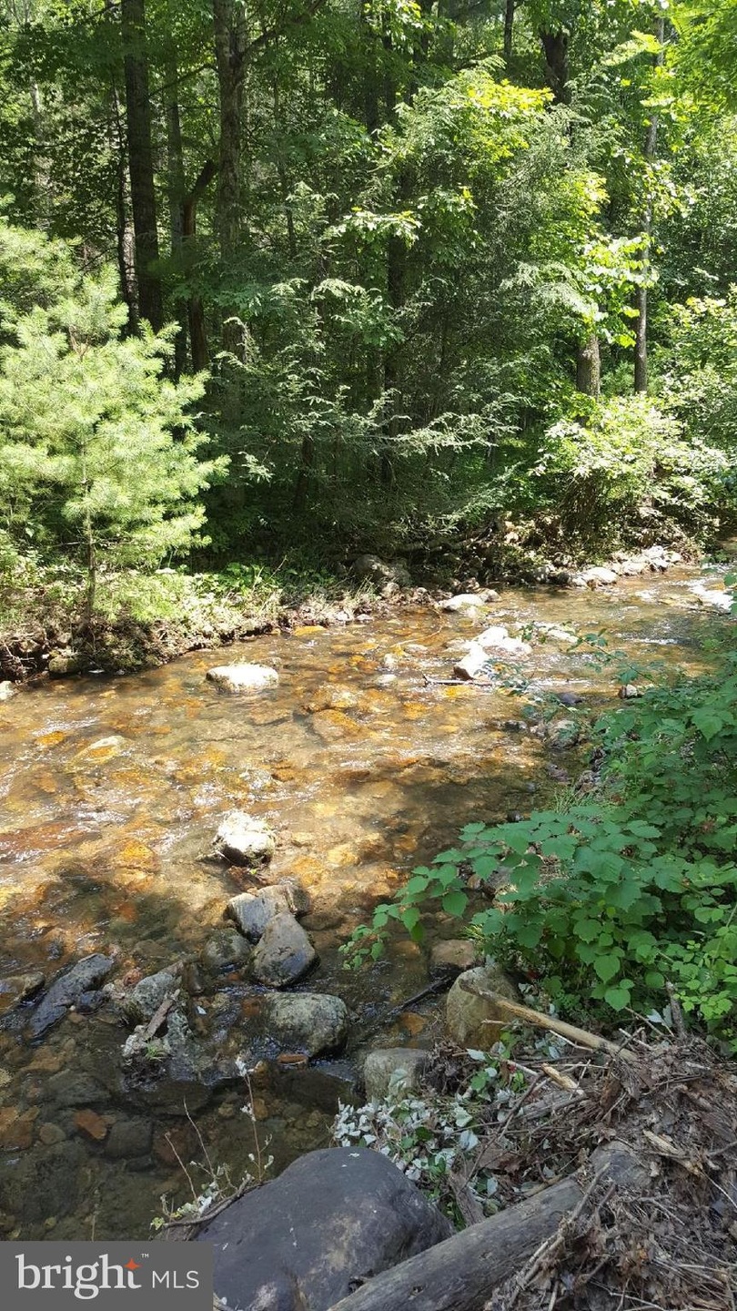 0 Gray Owl Ln unit 1002107162, Edinburg, VA 22824 - photo 1