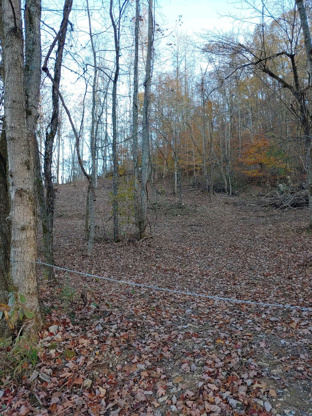 1299 Black Rd, Prospect, TN 38477 - photo 1