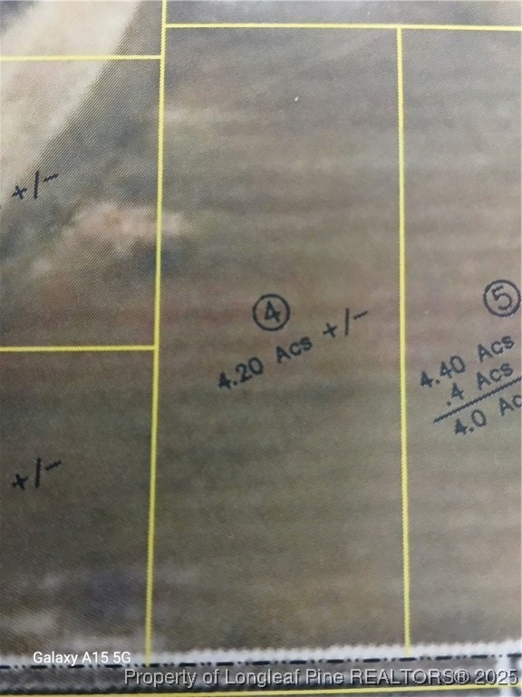 Lot 4 Buie - Philadelphus Rd, Red Springs, NC 28377 - photo 1