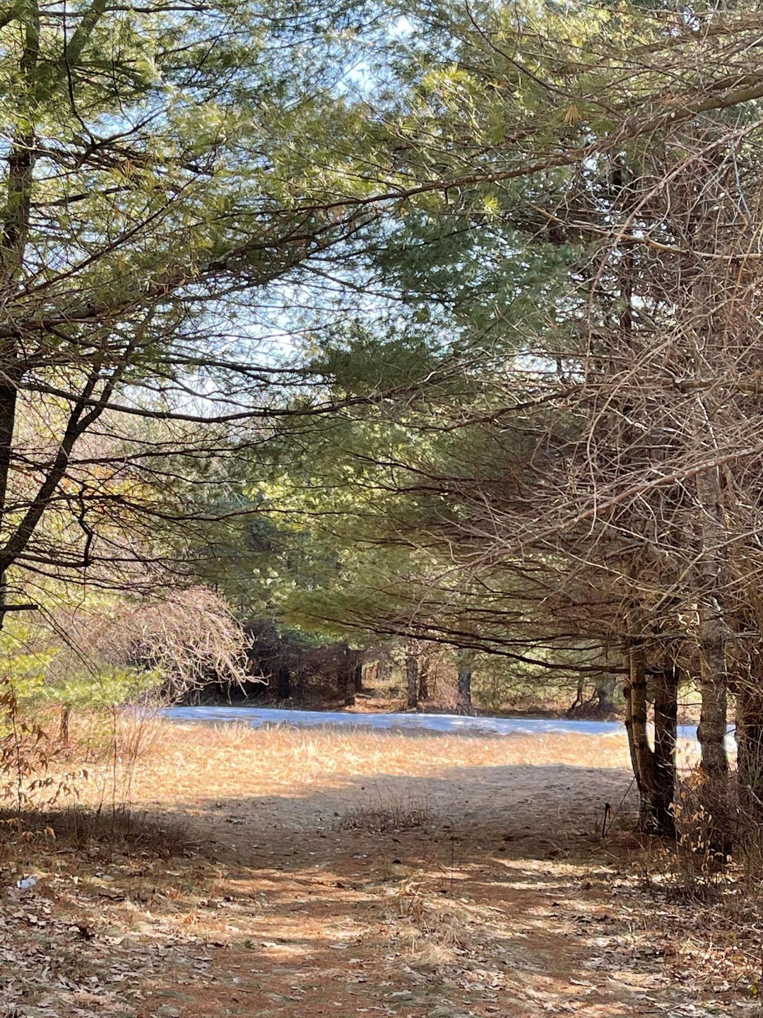 285 Pownal Rd unit Lot 4, Freeport, ME 04032 - photo 1