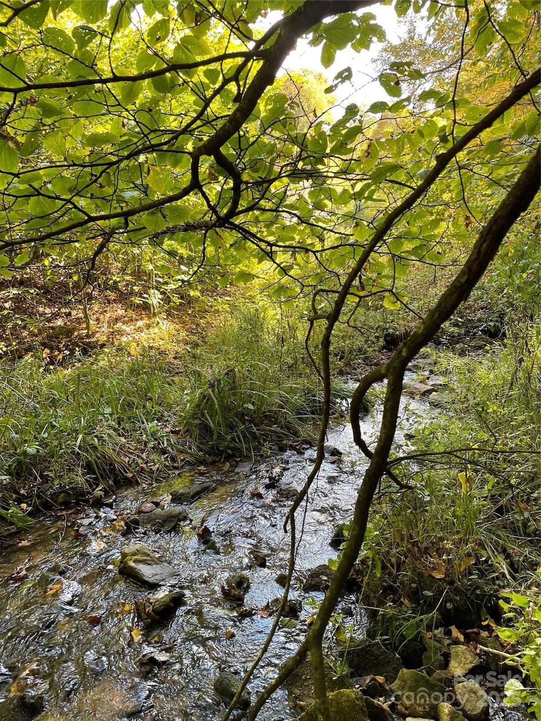 1201 Simms Fork Rd, Burnsville, NC 28714 - photo 1