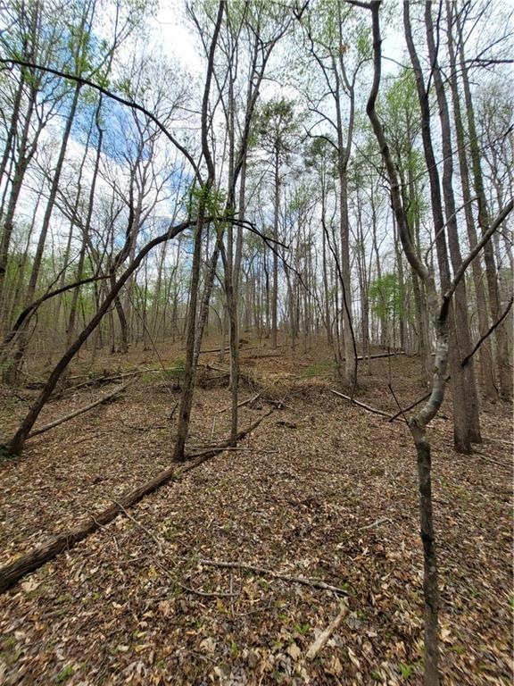 8 Auraria Rd, Dahlonega, GA 30533 - photo 1