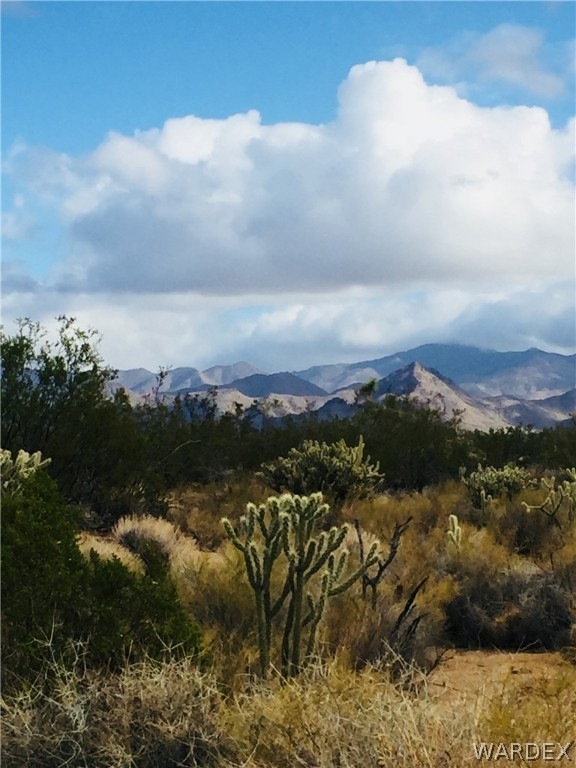 #3412A W Cowboy Rd, Yucca, AZ 86438 - photo 1