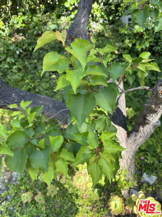 For Rent $8,500/month