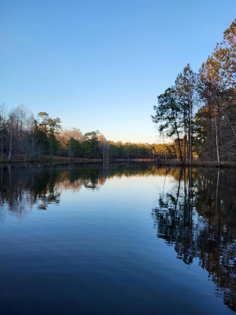 Sold $295,000 • Co-Listing Agent