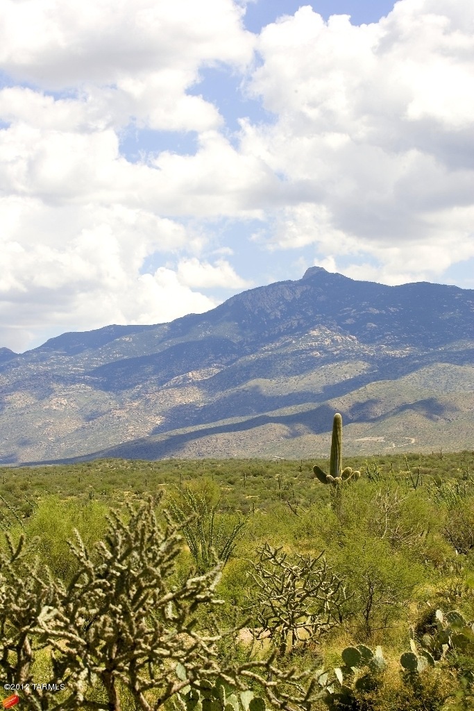 Rincon Mountains