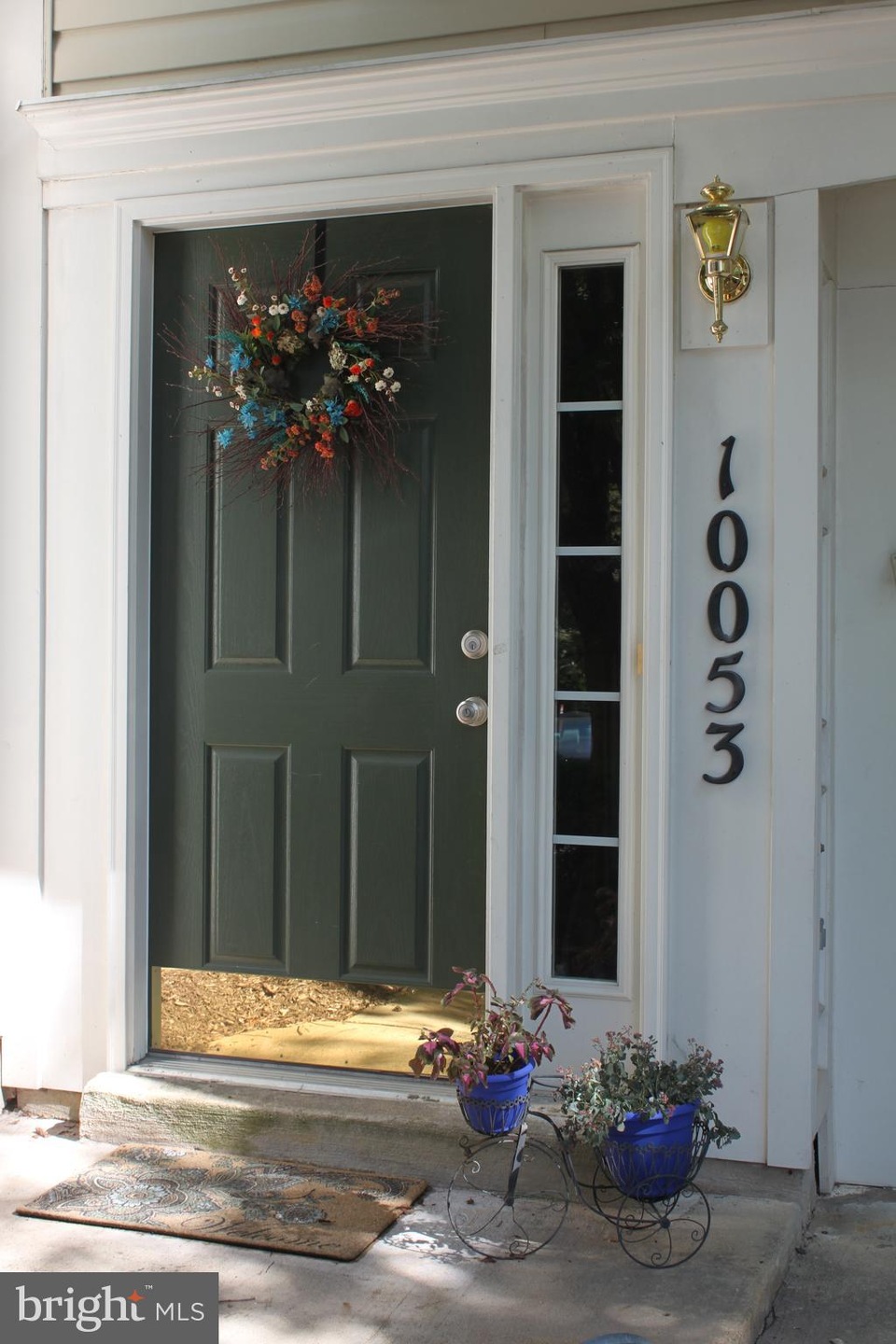 10053 Moxleys Ford Ln, Bristow, VA 20136 - photo 1