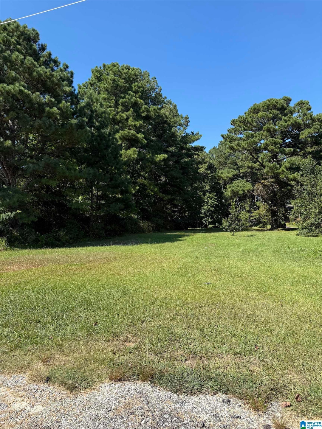 0 Highway 46 unit 2 21430866, Heflin, AL 36264 - photo 1