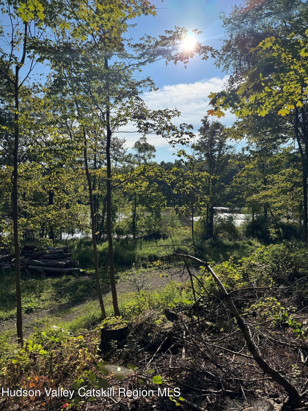 L2 High Rock Rd, West Coxsackie, NY 12192 - photo 1