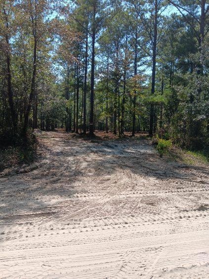 2296 Vic Waters Dr SE, Townsend, GA 31331 - photo 1