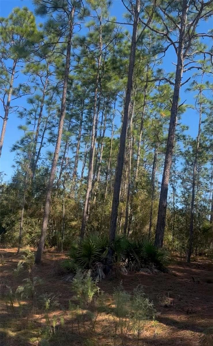 0 SW 128th Terrace Rd, Ocala, FL 34481 - photo 1