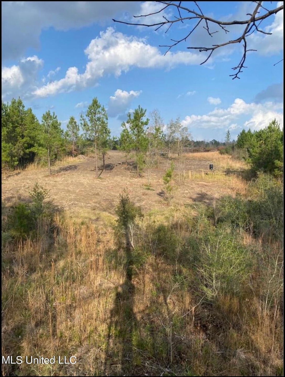 landpic3