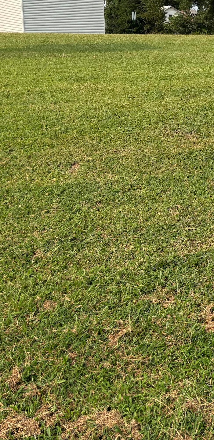 Sold $200,000 • Co-Listing Agent