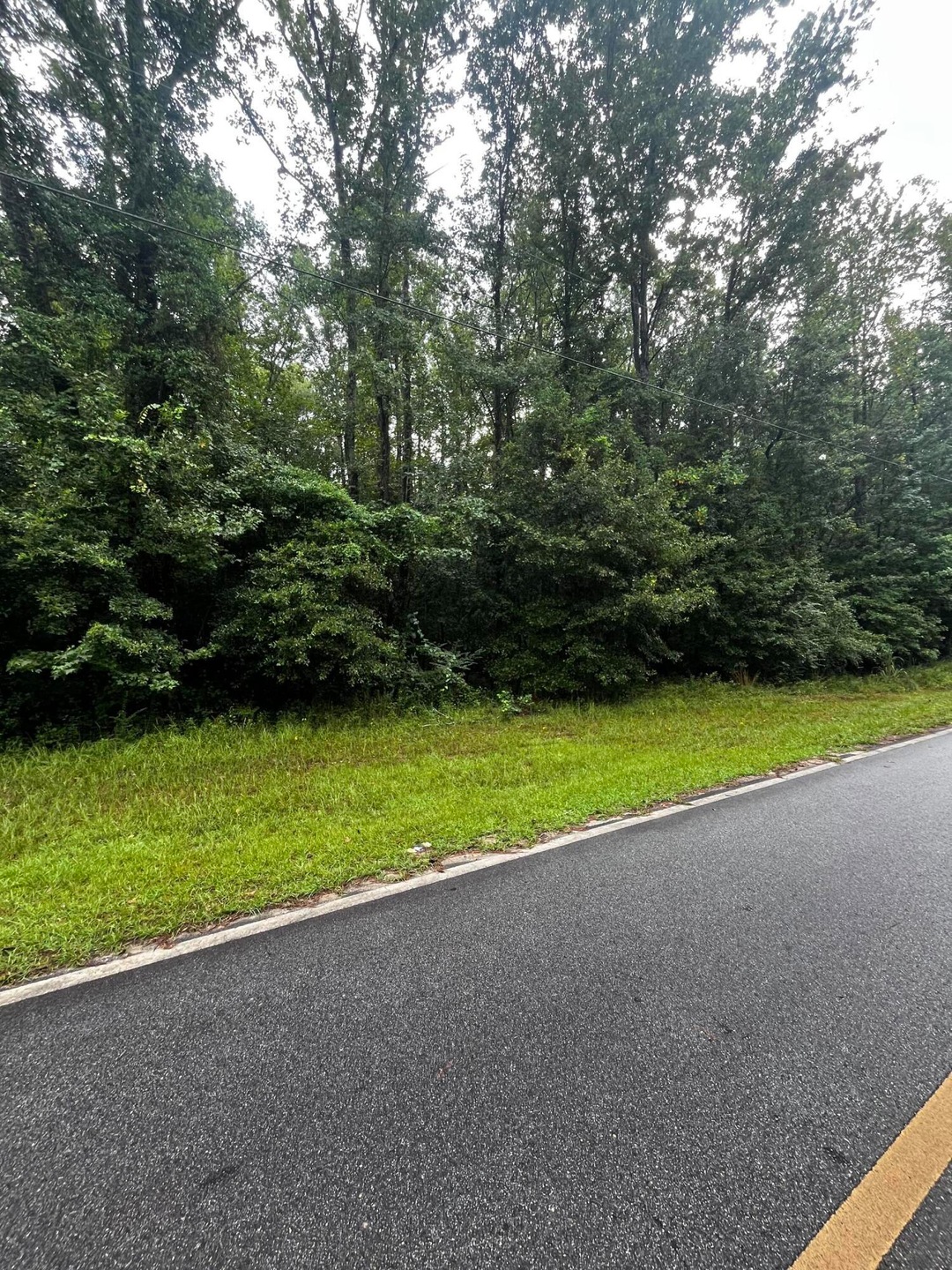 0 Liberty St unit 545715, Thomson, GA 30824 - photo 1