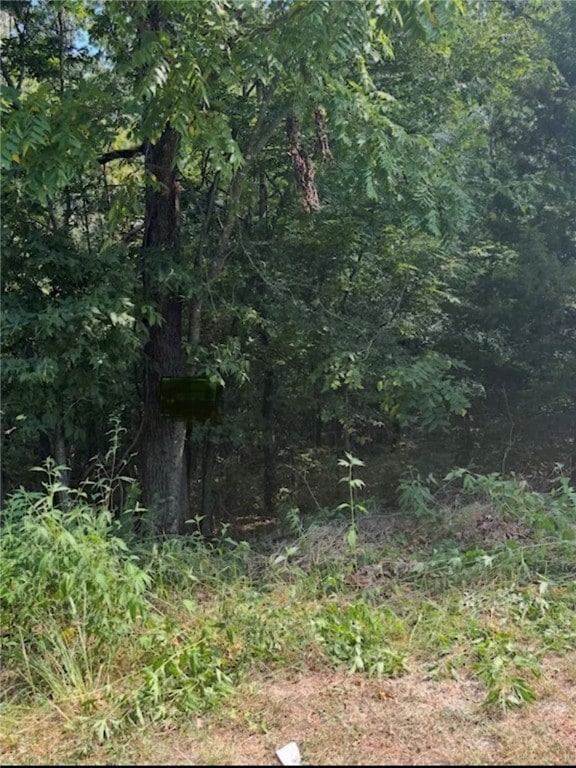 Lot 24 Block 3 Pennine Ln, Bella Vista, AR 72714 - photo 1