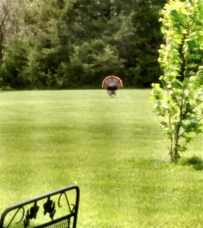 15305 T Rd, Mayetta, KS 66509 - photo 1