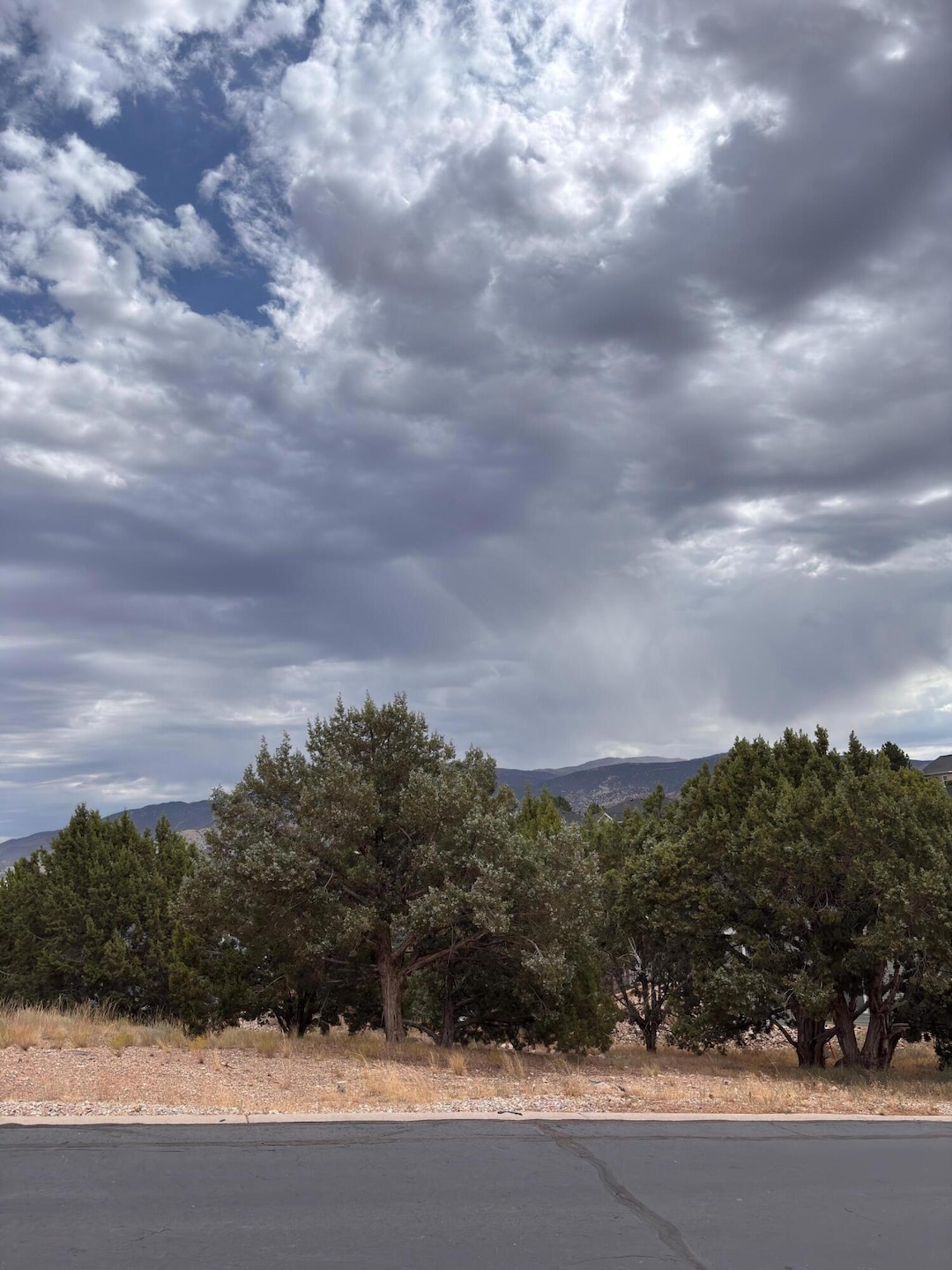 338 Pachea Cir, Cedar City, UT 84720 - photo 1