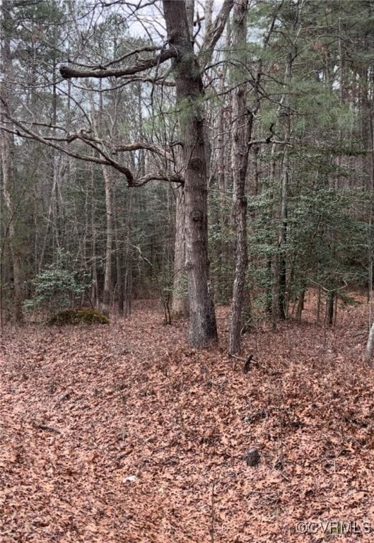 View of Winter Image
