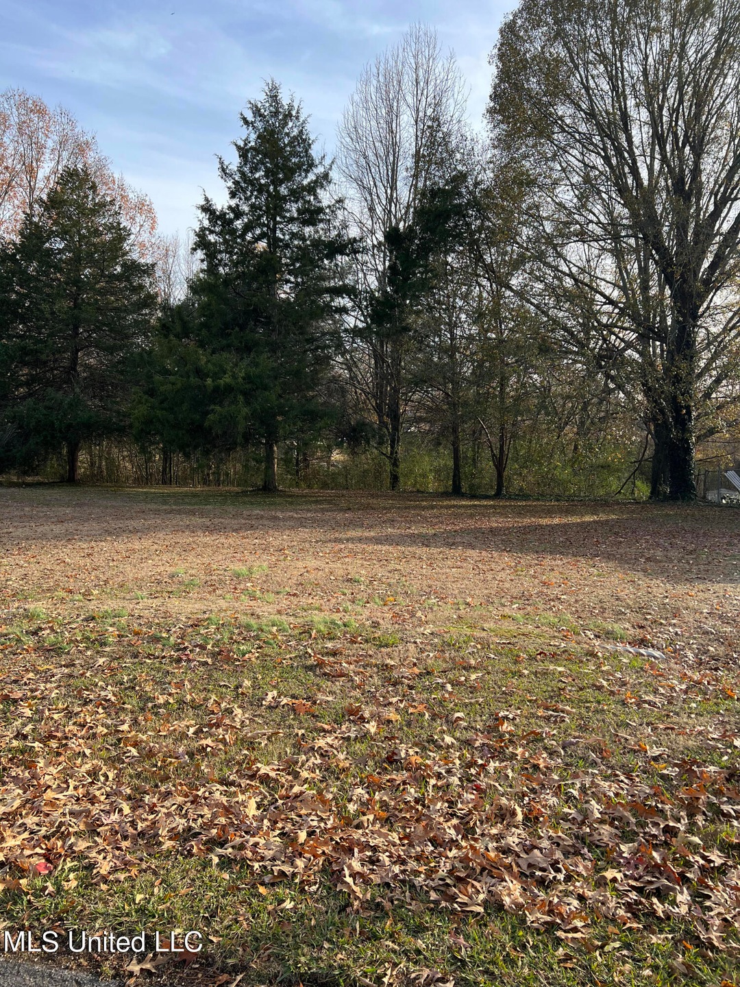 land pic