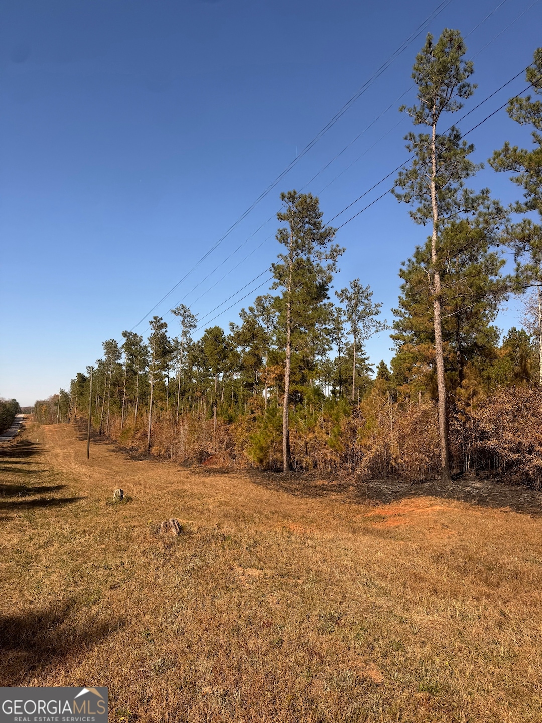 4523 Georgia 18, West Point, GA 31833 - photo 1