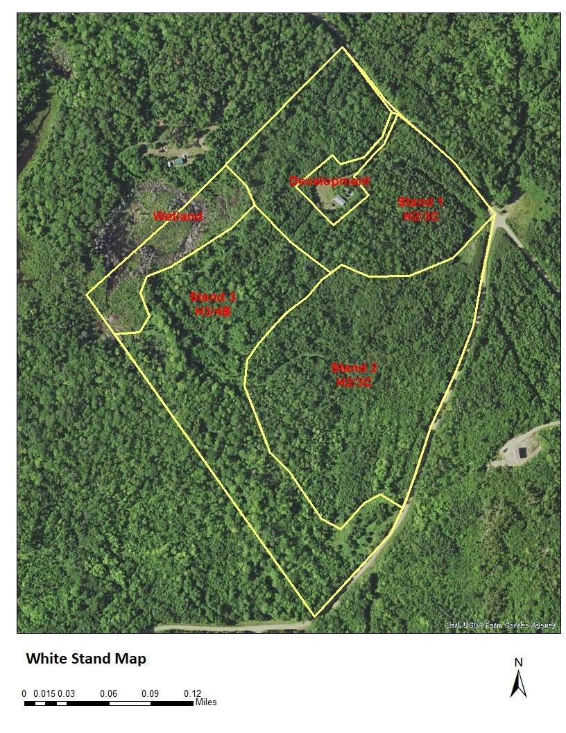 White_StandMap