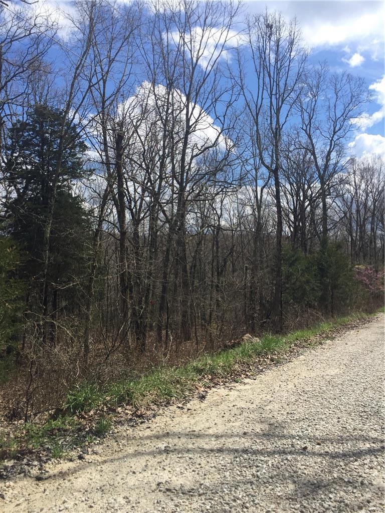 30 Lot Carter Ln, Robertsville, MO 63072 - photo 1