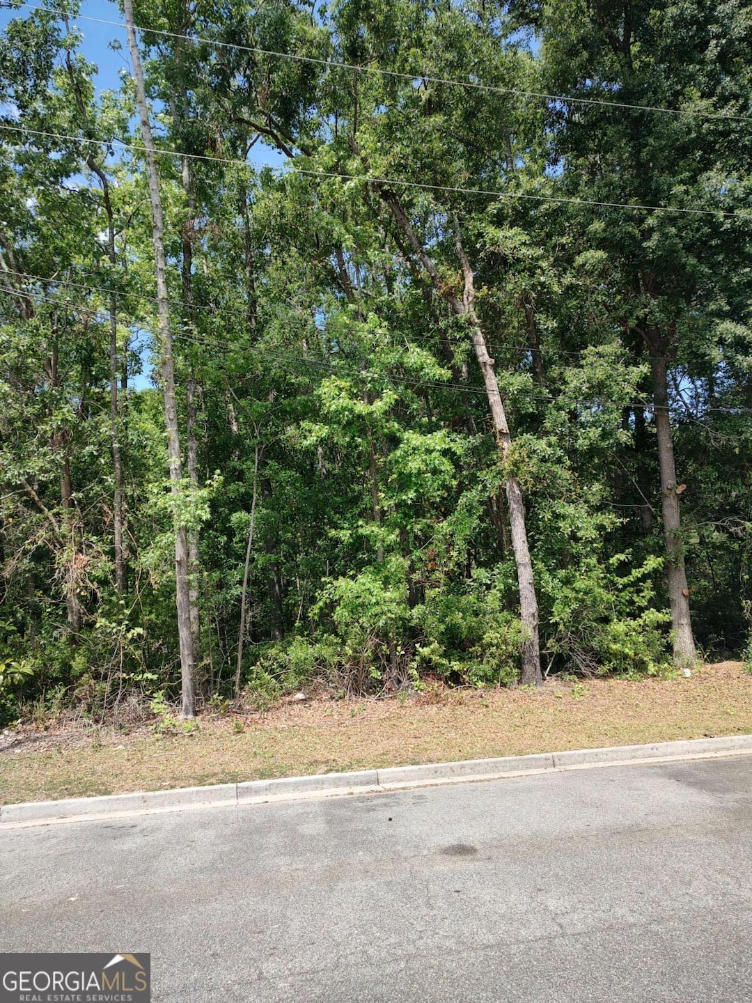 0 Fayette St unit LOT 4 10511373, Savannah, GA 31401 - photo 1