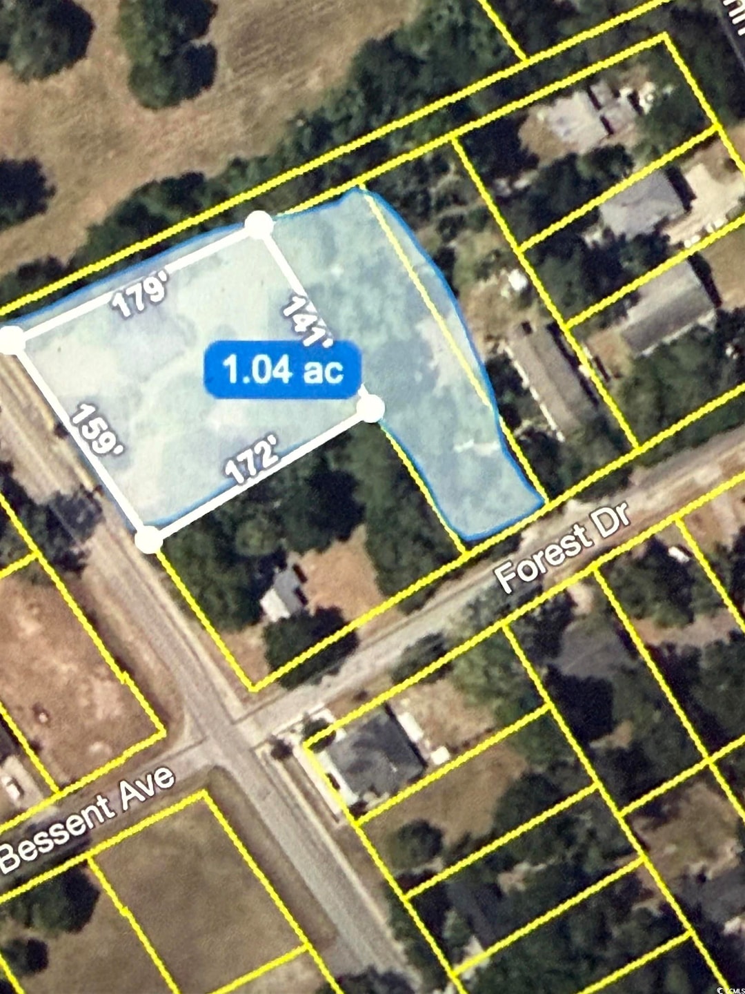 0 Forest Dr unit 4341 Mineola Ave, Little River, SC 29566 - photo 1