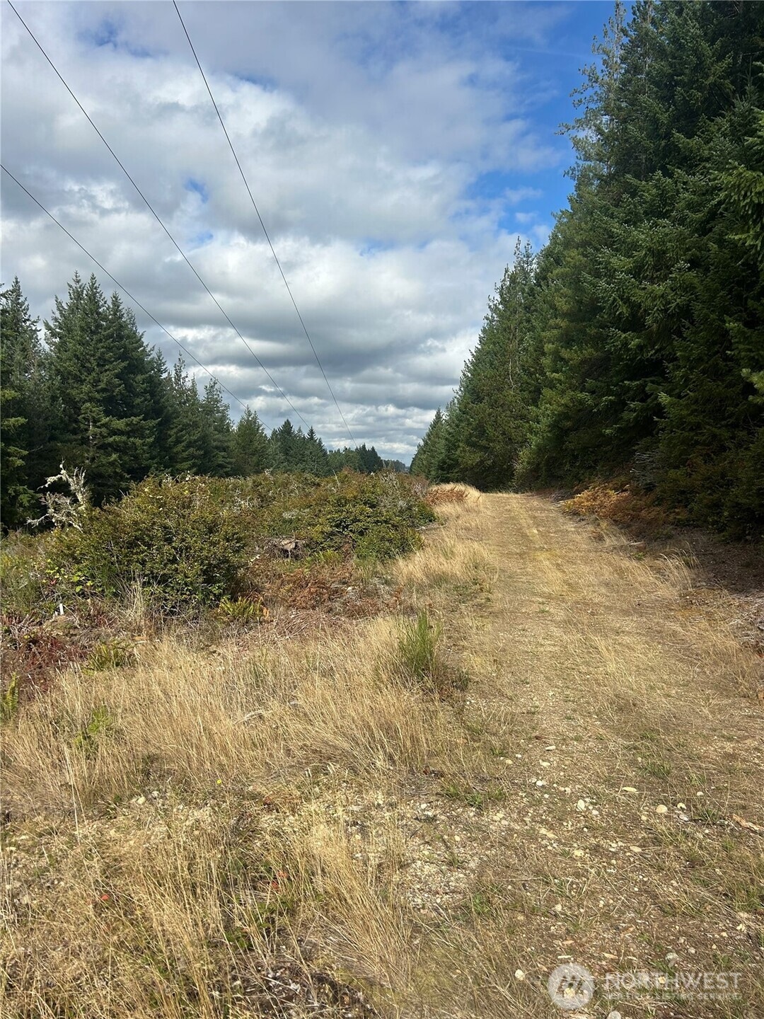 View from the Mathisen access point