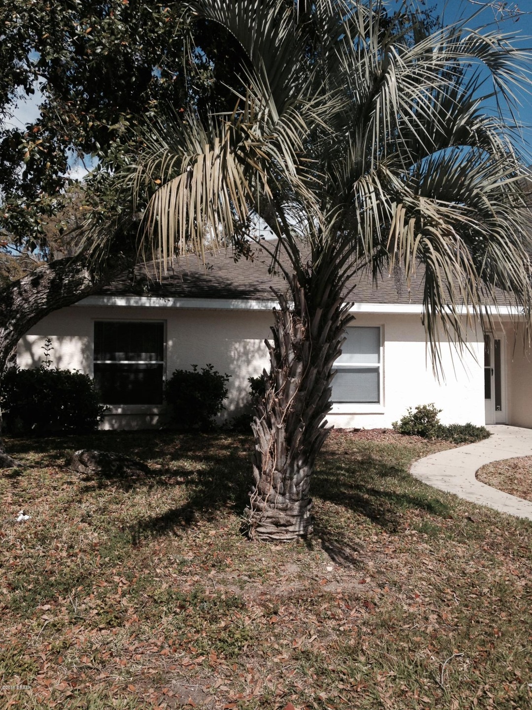 1 Front Elevation.jpg