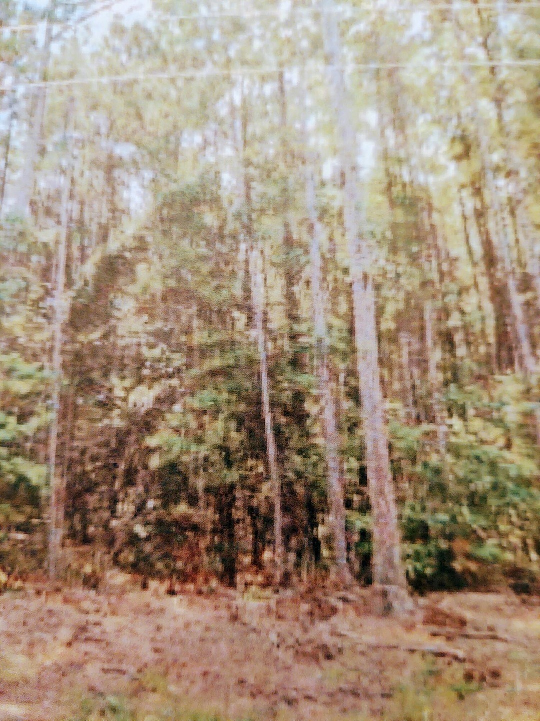 IMG_20211001_140839751