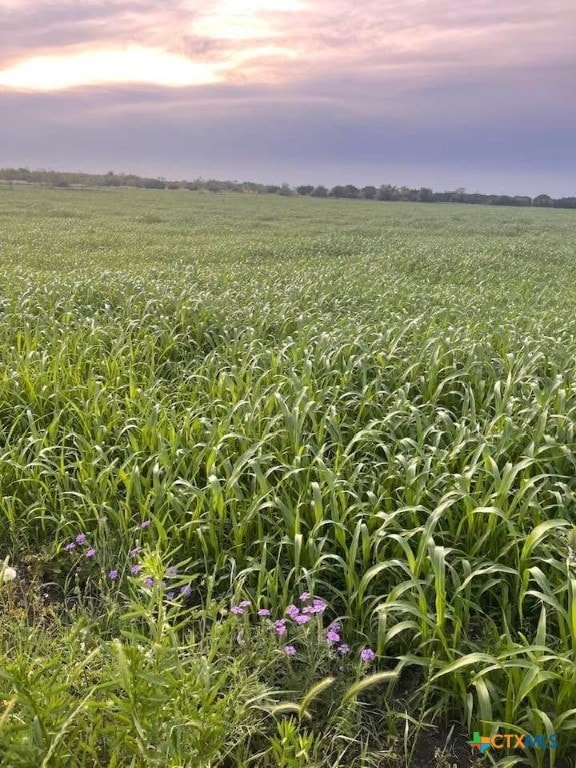 TBD Private Road 3642, Copperas Cove, TX 76522 - photo 1