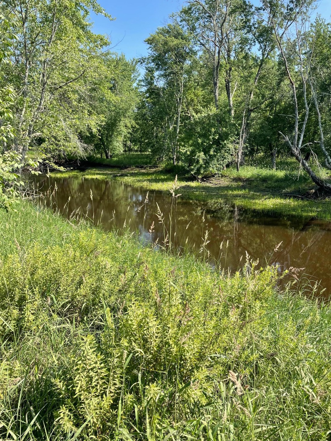 Sold $115,000 • Co-Listing Agent
