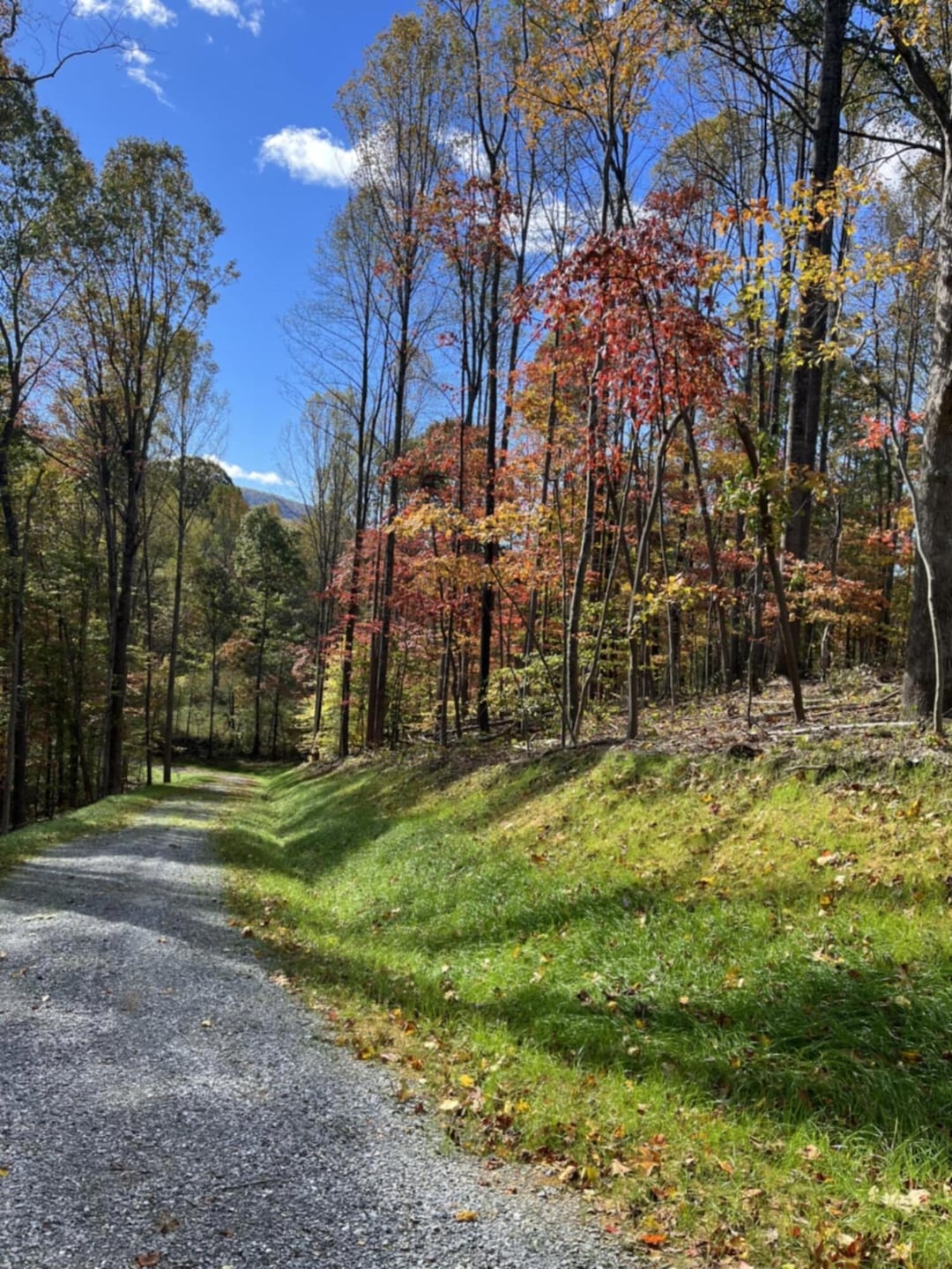 0 Little Catawba Creek Rd, Amsterdam, VA 24175 - photo 1