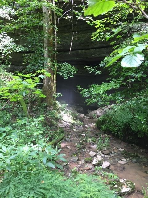 3120 Piney Grove Rd, Somerset, KY 42501 - photo 1