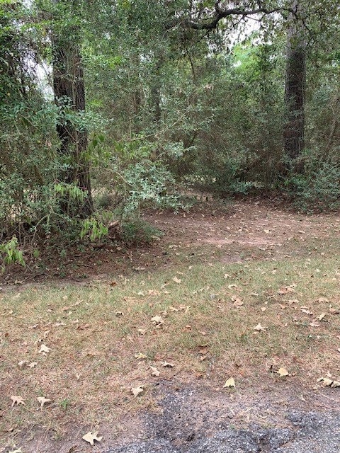 -0- Lark Ln, Holly Springs, TX 77447 - photo 1